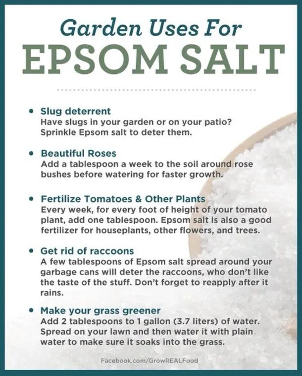 Epsom Salt 500 Grams standup pouch -Magnesium sulfate With Crystals For Plants/bath - Chemical Villa
