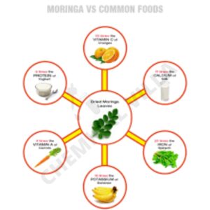 Organic Moringa Powder 100 Gm jar