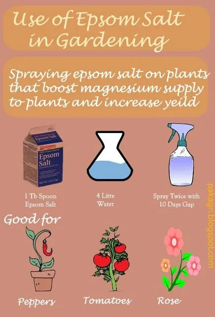 Epsom Salt 500 Grams standup pouch -Magnesium sulfate With Crystals For Plants/bath - Chemical Villa